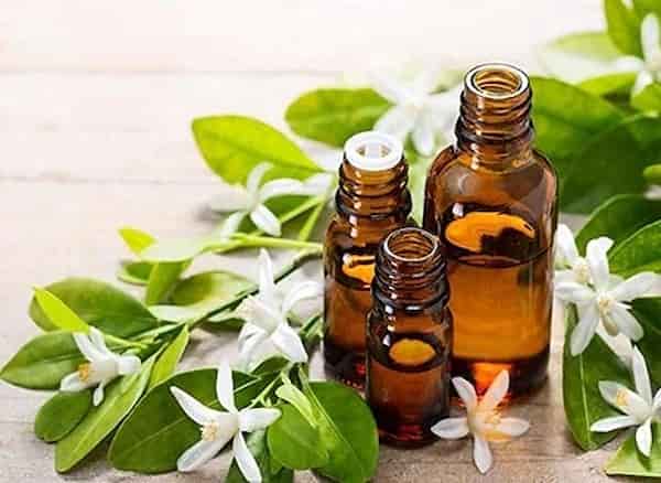 قیمت خرید عرق بهار نارنج اصل + فروش ویژه